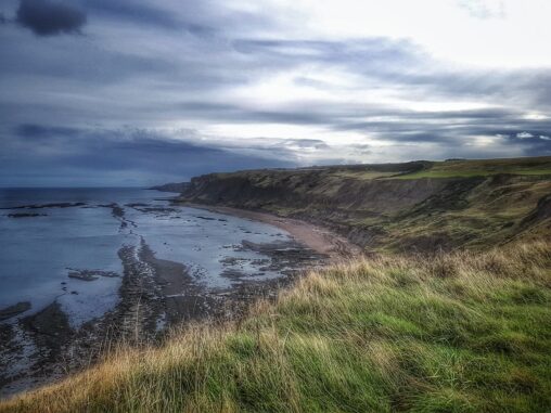 View from the cliffs looking out over the north sea from Gristhorpe